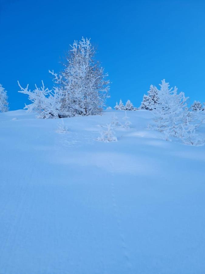 Au Petit Bonheur A Val-Cenis Διαμέρισμα Sollières-Sardières Εξωτερικό φωτογραφία